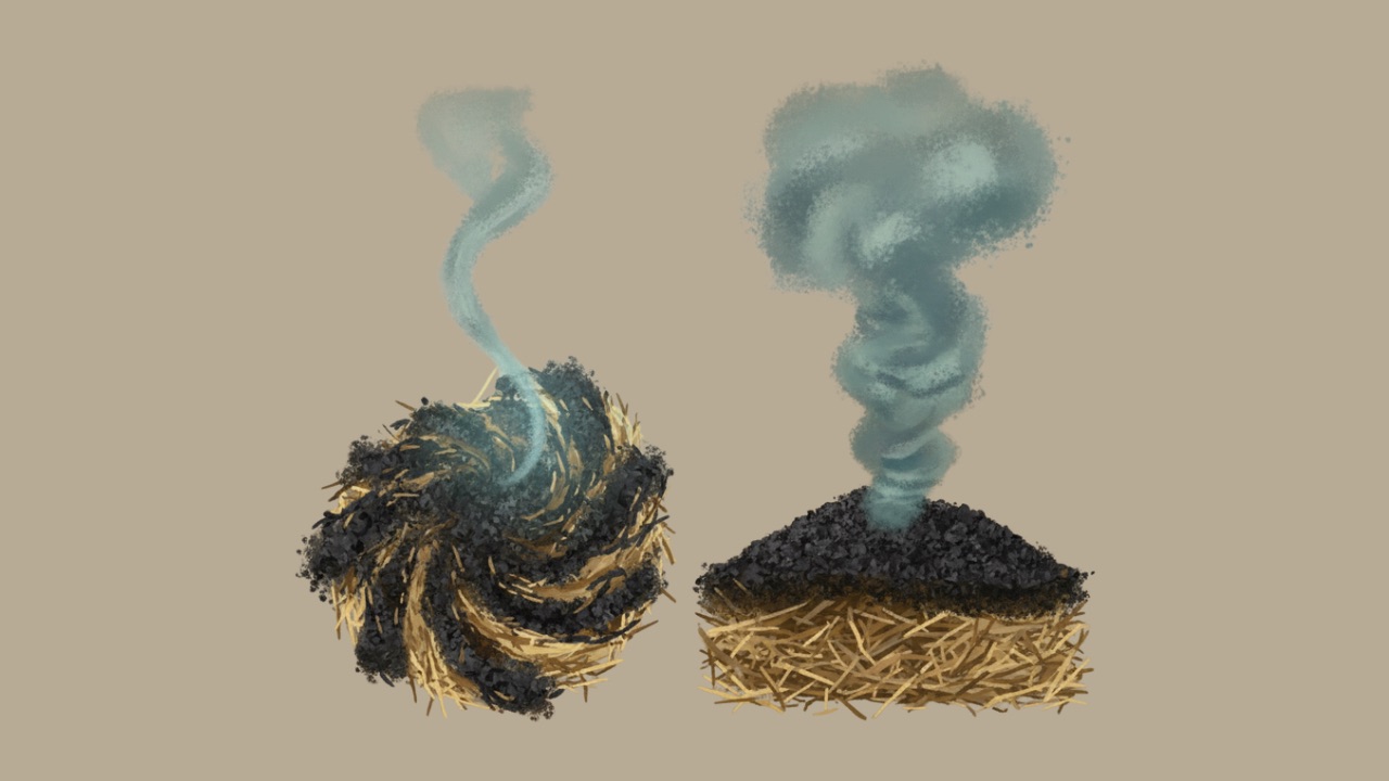 Mixing Biochar into Broiler Litter Cuts Ammonia Emissions by 24% Compared to Surface Application