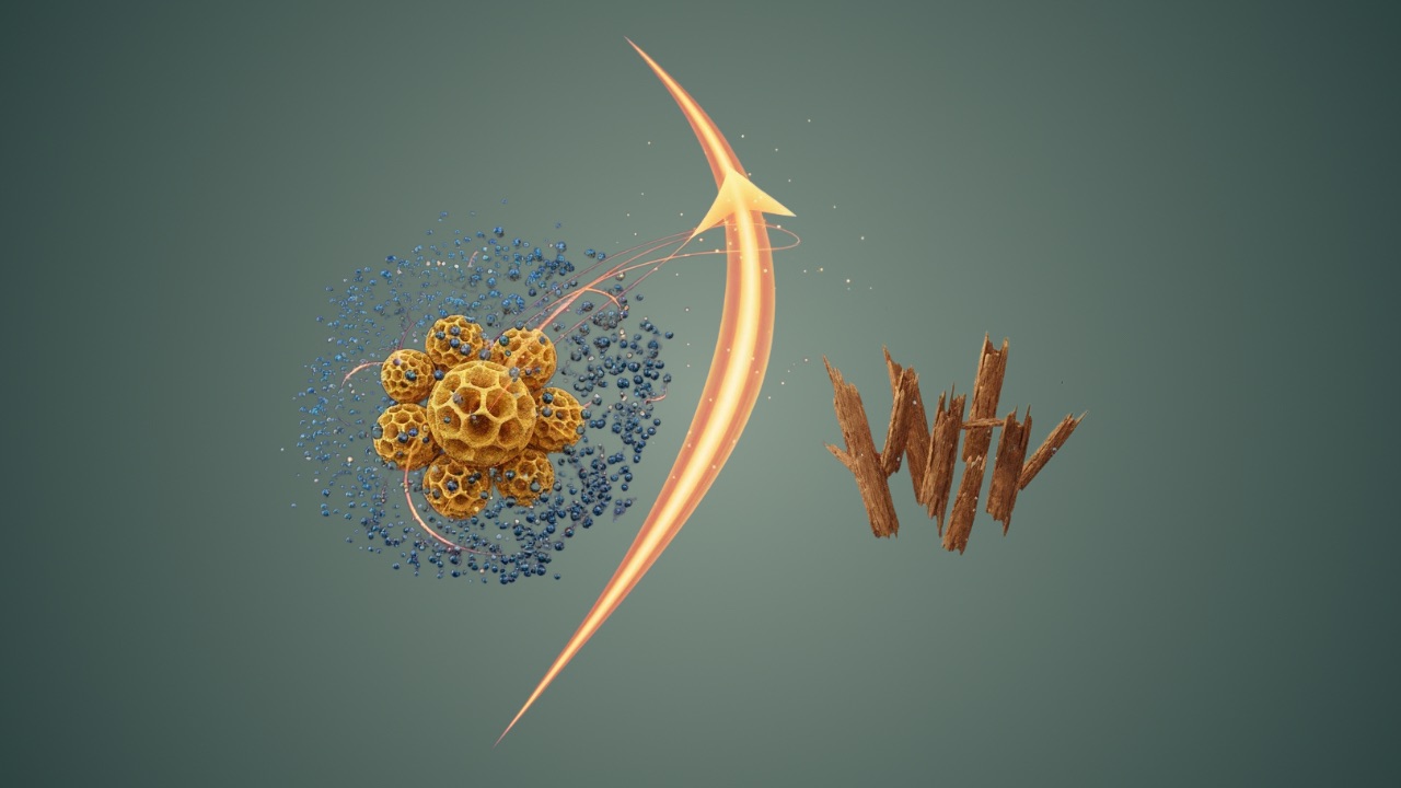 Agricultural&nbsp;Biochars Outperform Woody&nbsp;Biochars by Up to 40-fold in Cu(II) Adsorption Capacity (61.8&nbsp;mg/g vs. 1.5&nbsp;mg/g)