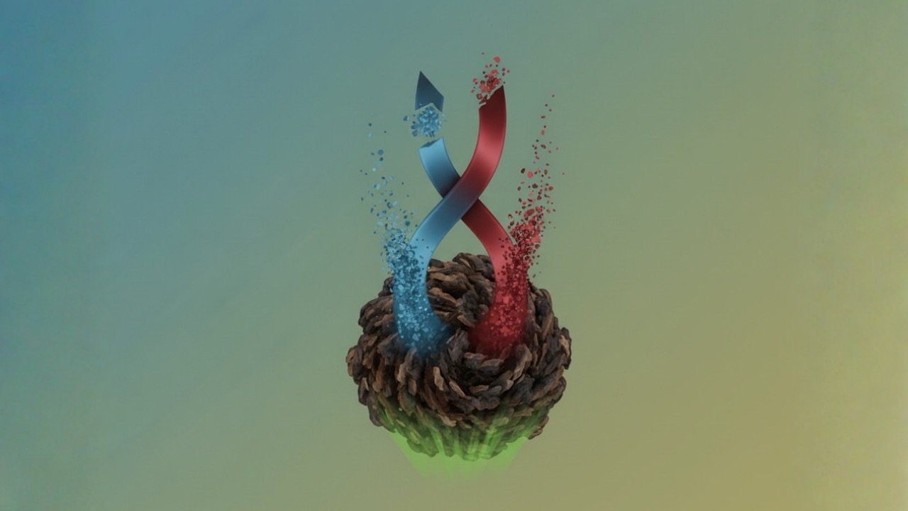 Biochar in Compost Slashes Methane by 53.7% and Nitrous Oxide by 49.8%, A New Meta-Analysis Confirms