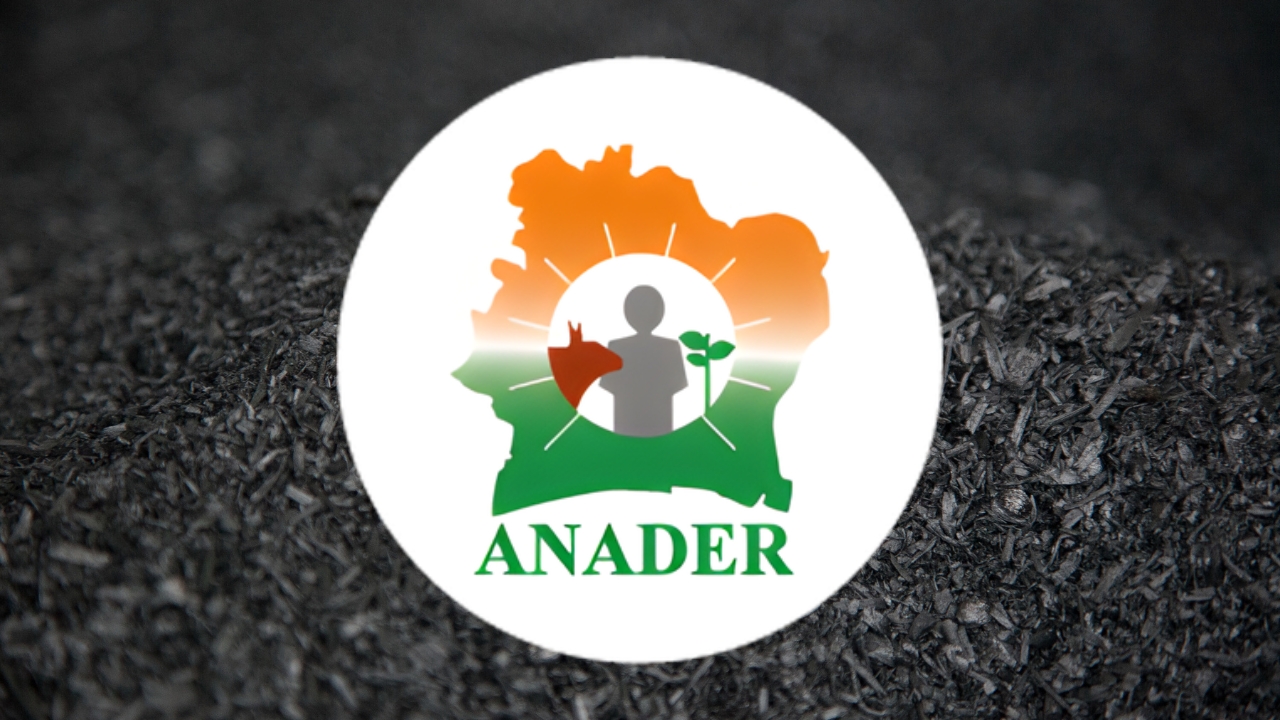 ANADER and GIZ Collaboration in Côte d’Ivoire: Transforming Cocoa Waste into High-Value Products and Biochar Pathways