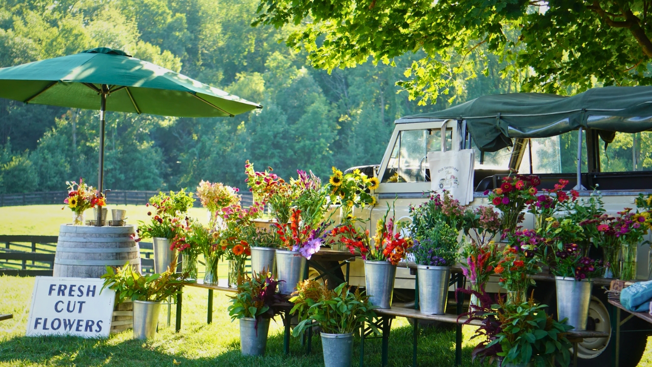 Biochar in Bloom: Promising Wins at Old Tavern Farm’s Cut Flower Trials