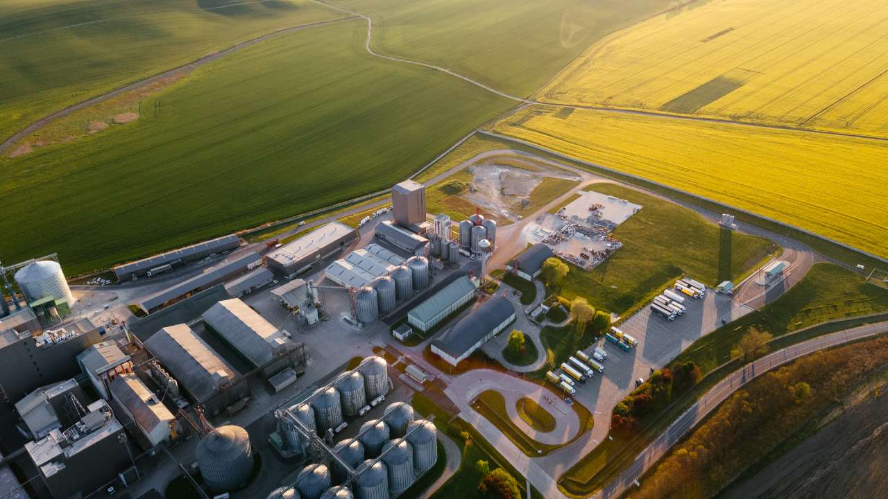 Infrastructure Asset Group and Commodity Ag Propose Western Australian Canola Facility Integrating Biochar Production