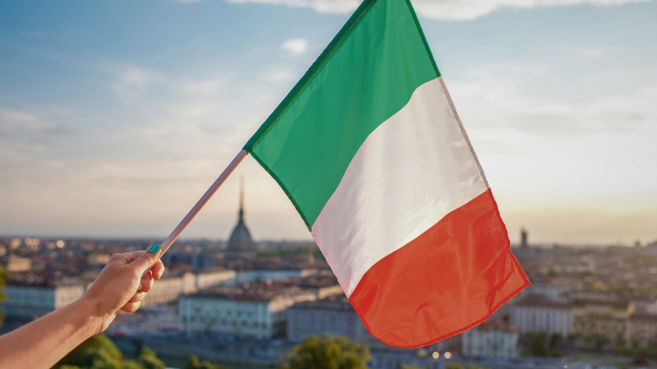 Navigating a Bottlenecked Market: Strategy and Innovation in Italy’s Biochar Sector