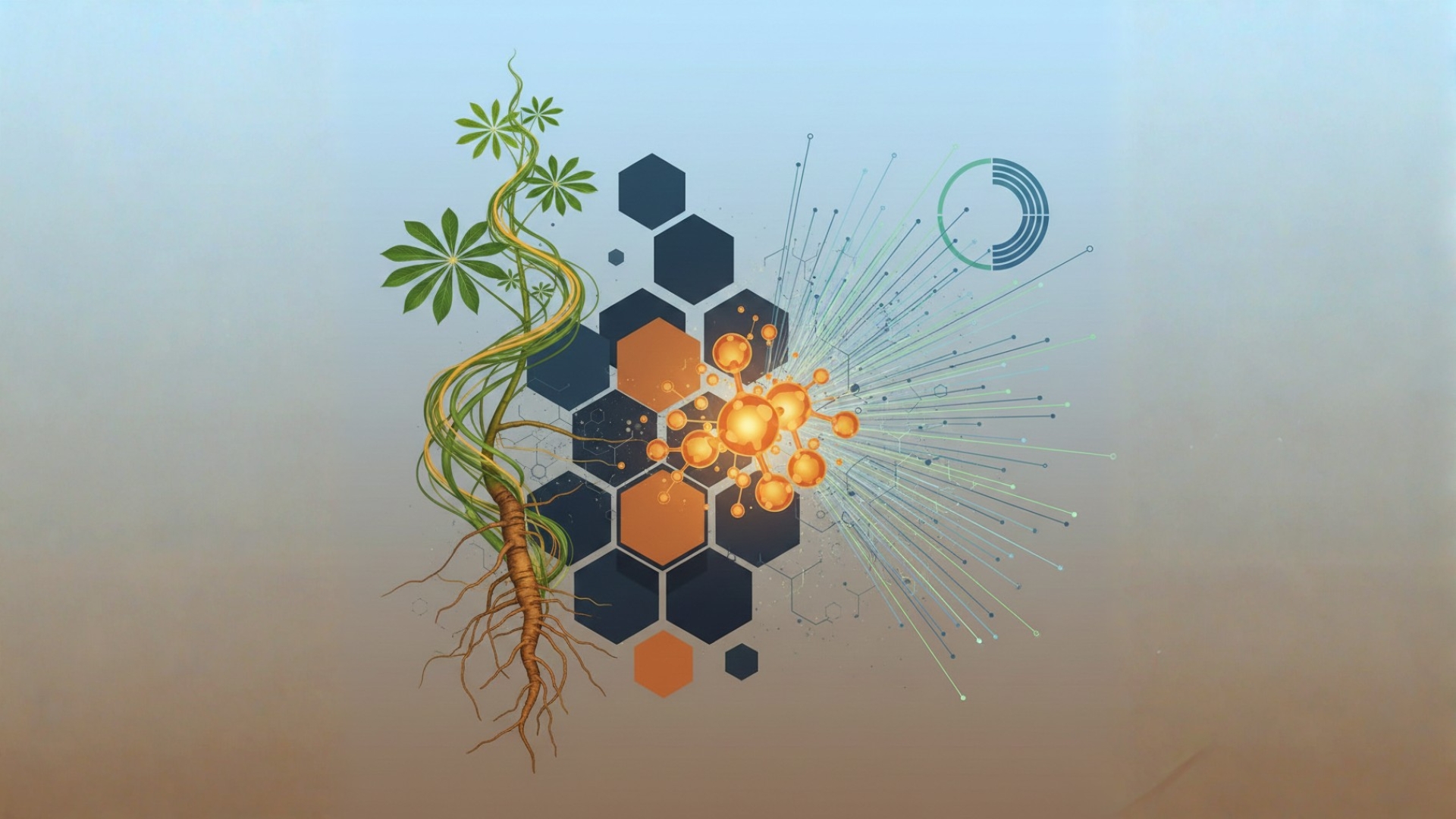 Maximizing the Bioeconomy: A Cassava Rhizome Catalyst Achieves 34.5 wt.% HMF Yield from Glucose