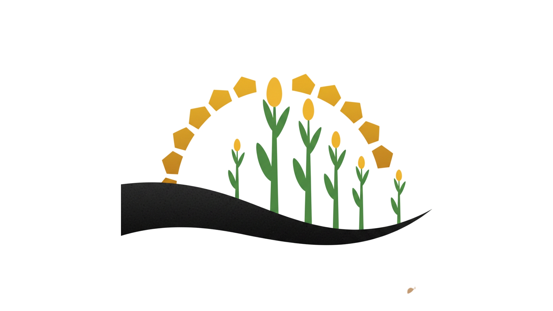 Biochar Application Rate of 15 tons/ha Maximizes Maize Yield Gains in Sandy Soils
