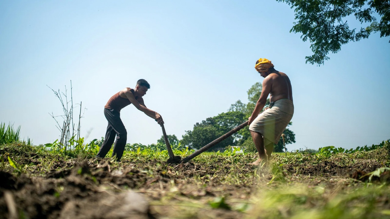 CarbonXtras and CSIR-CRI Advance Real-Time Soil Monitoring to Position Ghana for Carbon Markets