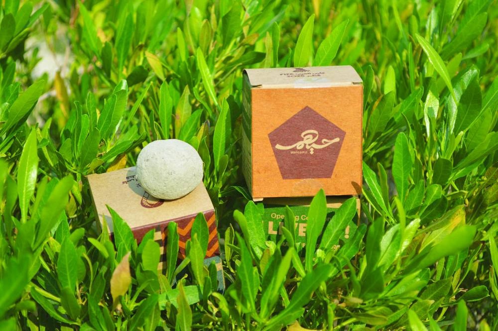 Qur’anic Botanic Garden and Hamad Bin Khalifa University Use Biochar-Enhanced Mudballs to Promote Sustainability at FIFA Arab Cup 2025