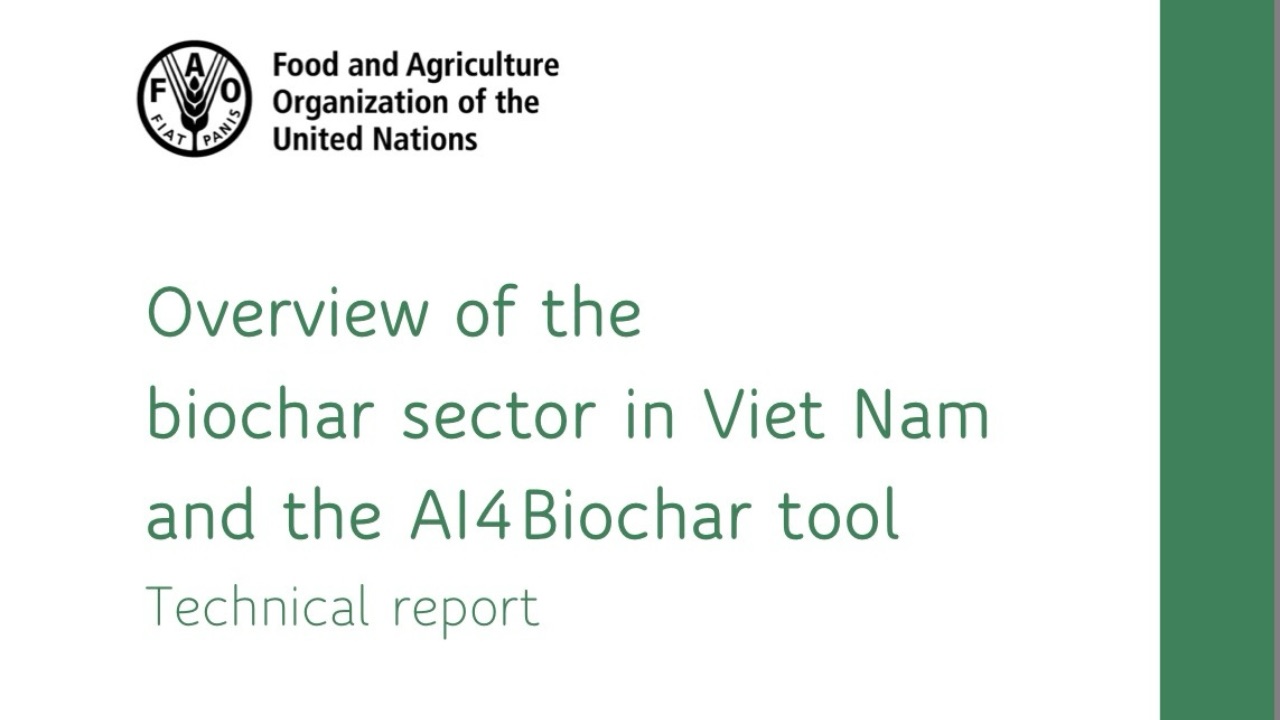 FAO Technical Report Review: Vietnam’s Data-Driven Leap into the Biochar Economy