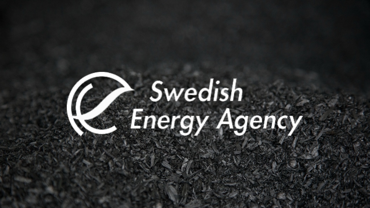 Swedish Energy Agency Launches Reverse Auction Program to Fund Long-Term Bio-CCS Implementation