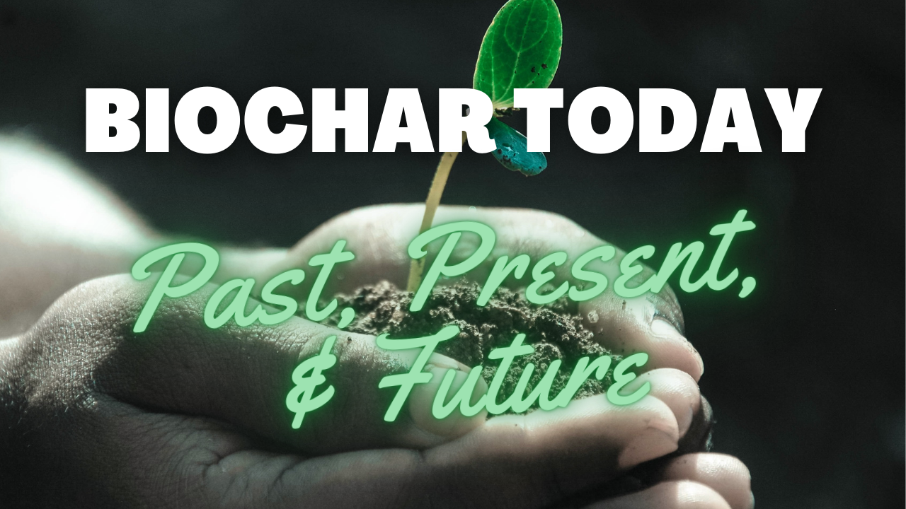 Biochar Today: Past, Present, and Future