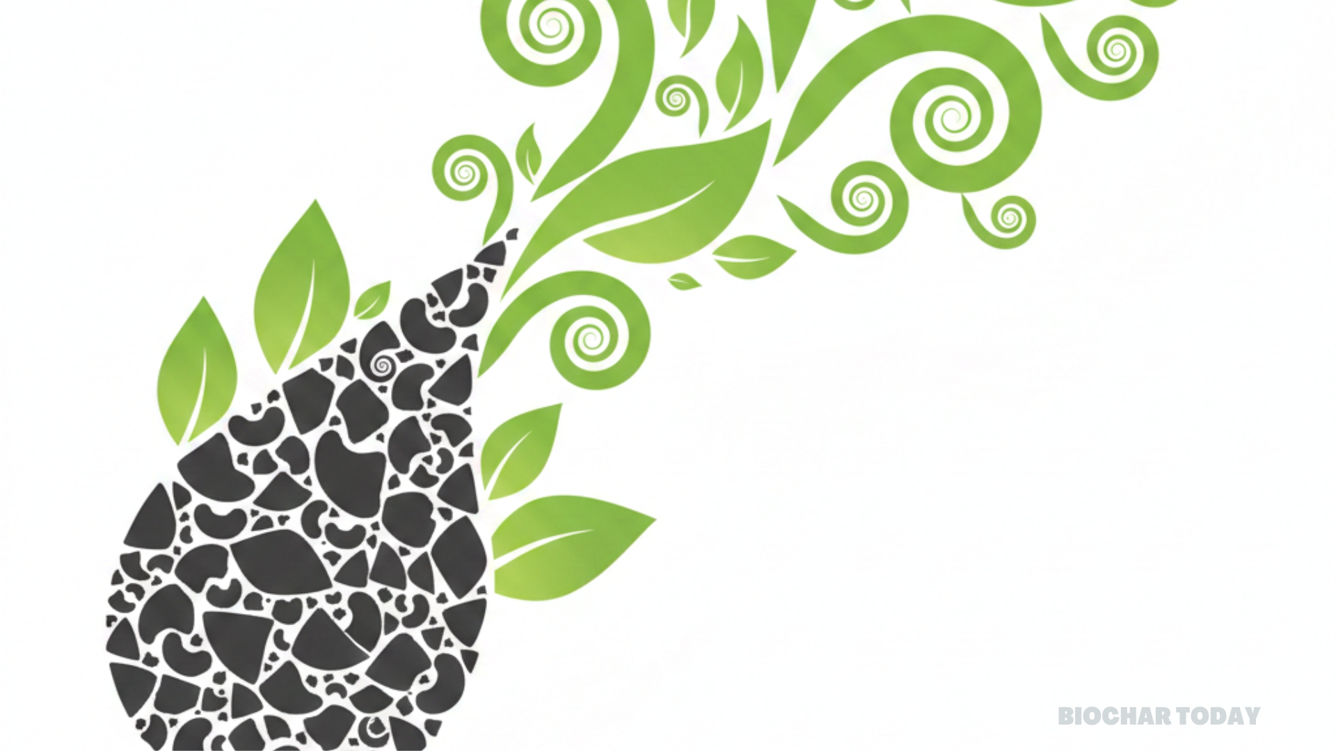 Cashew Nut Shell Biochar Increases Vegetable Leaf Production by Over Fifty Percent