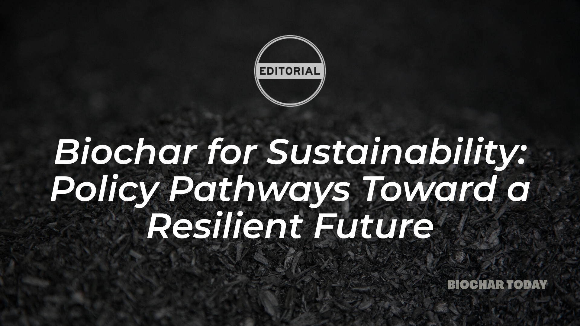 Biochar for Sustainability: Policy Pathways Toward a Resilient Future