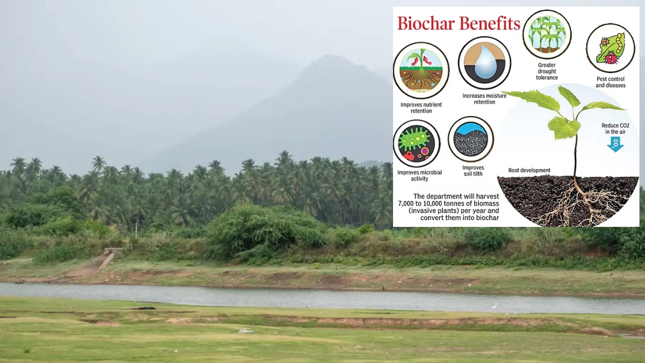 South Indian State Forest Department and STR Deploy Pyrolysis to Convert Invasive Biomass into Carbon Credits