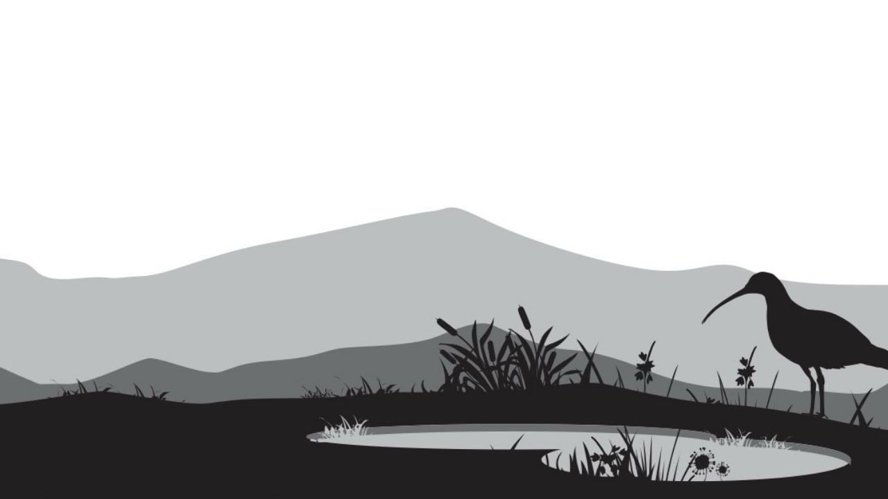 New Roundtable to Address Turning UK Lowland Peat into Carbon Sinks