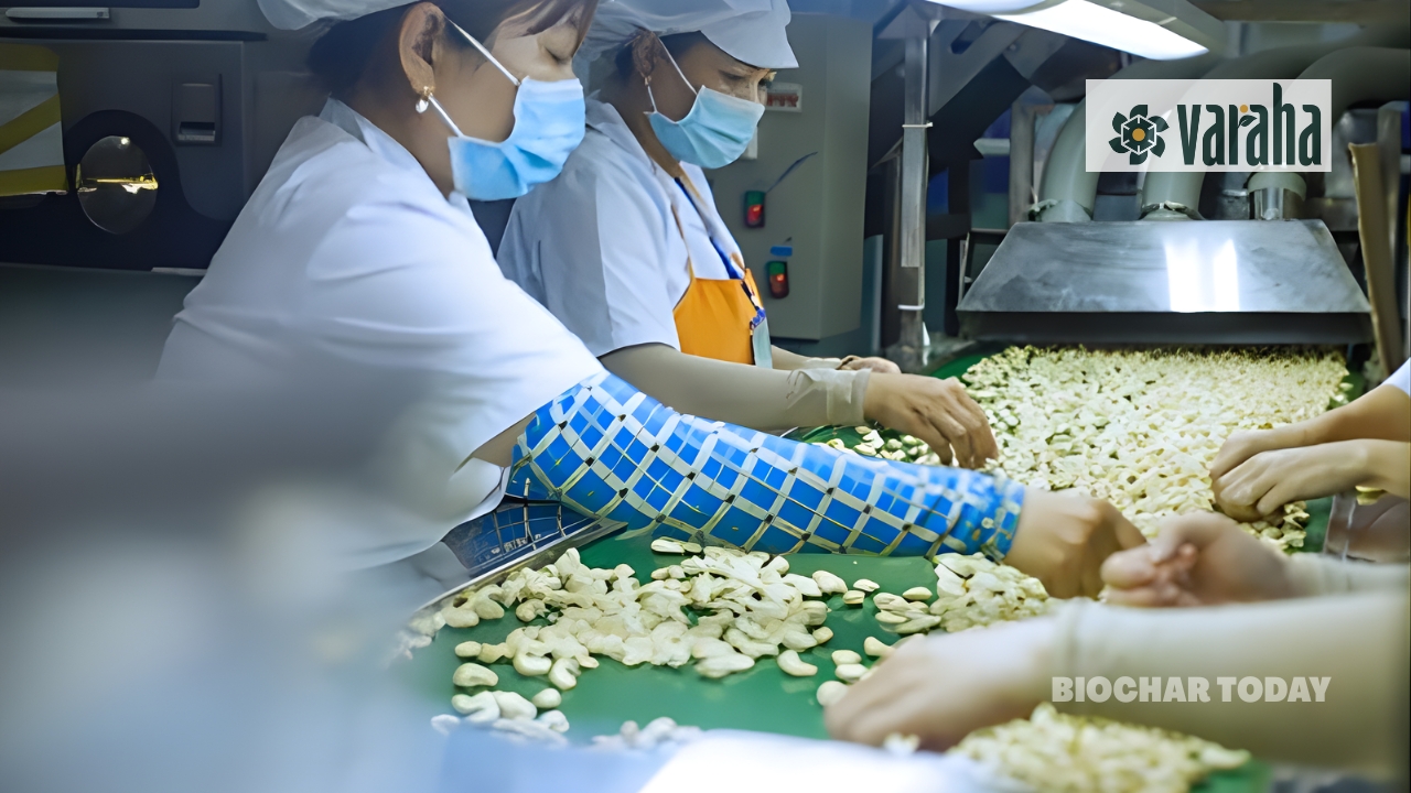 Varaha, Revata Carbon, and Valency International Launch Industrial Biochar Initiative in Côte d’Ivoire