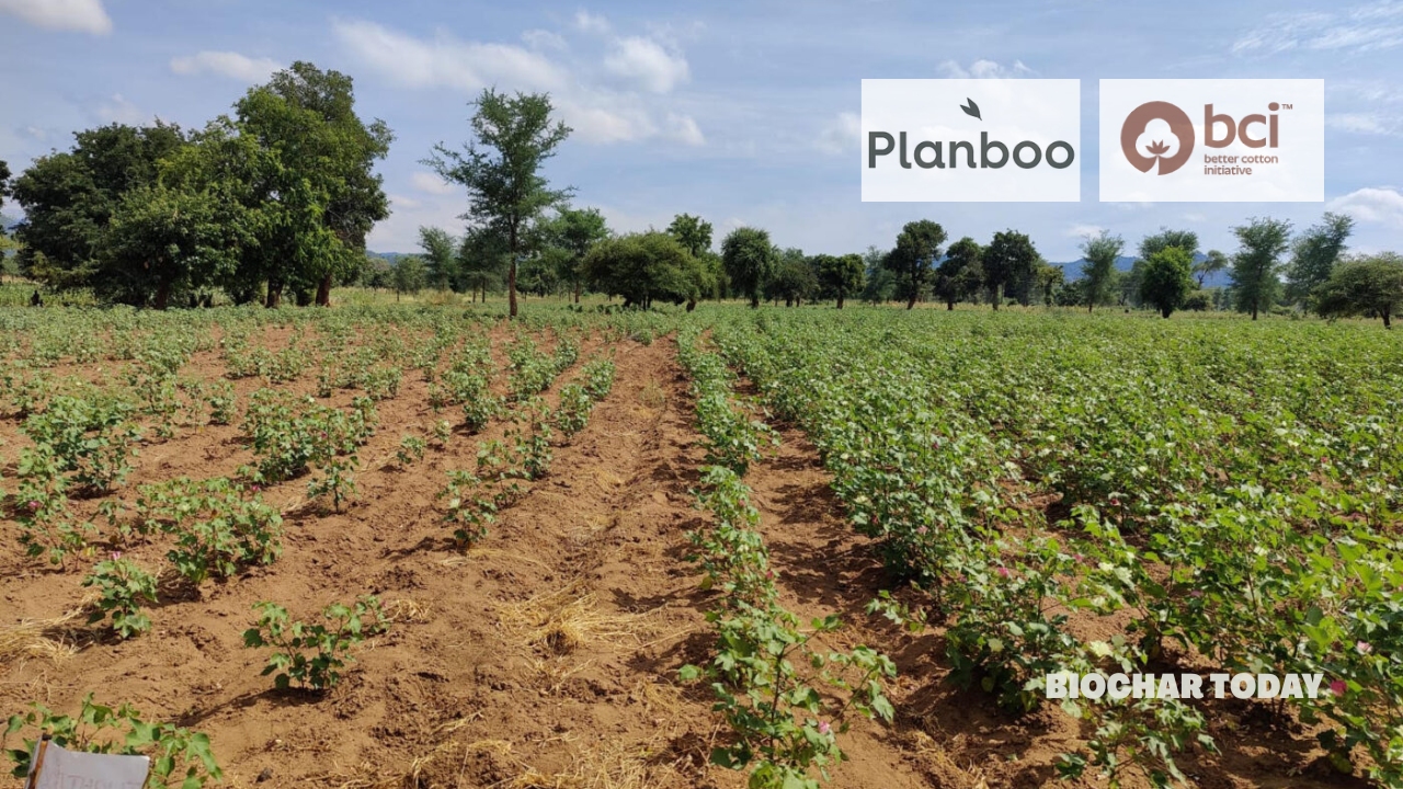 Better Cotton Initiative and Planboo Project Enhances Soil Health and Carbon Sequestration in India