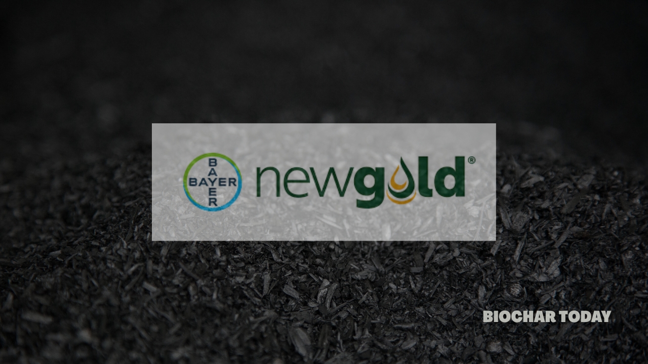 Bayer Launches NewGold Seed Brand in the United States to Support Low-Carbon Fuel Feedstock Production