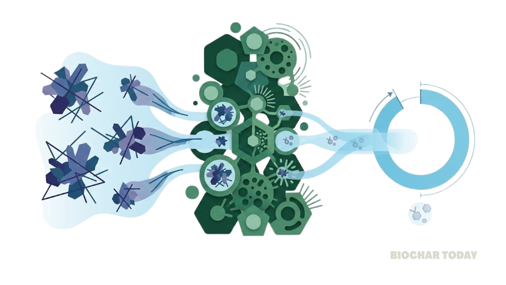Modified Biochar Achieves Over 90 Percent Removal Efficiency for Sulfonamide Antibiotics in Contaminated Water Systems