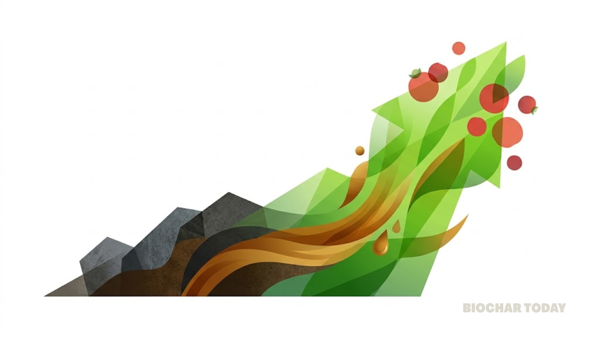 Biochar and Wood Distillate Combination Increases Cherry Tomato Yield by 67% in Sustainable Soilless Systems
