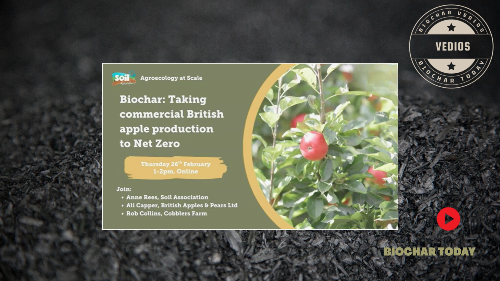 Restorative Anthropogenesis: Utilizing Biochar for Global Soil Recovery