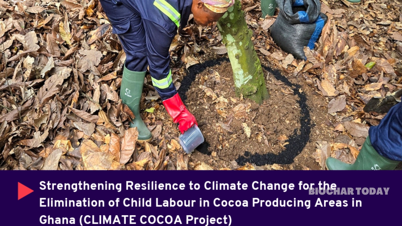 The International Labour Organization and Government of Japan Utilize Biochar to Combat Child Labor and Climate Change in Ghana