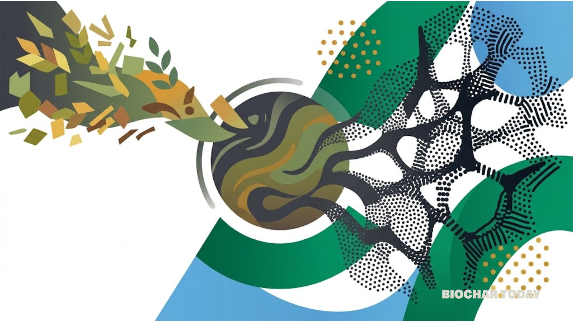 Agricultural Waste Valorization Creates Porous Carbon with Surface Areas up to 1071 Square Meters Per Gram for Resource Conservation