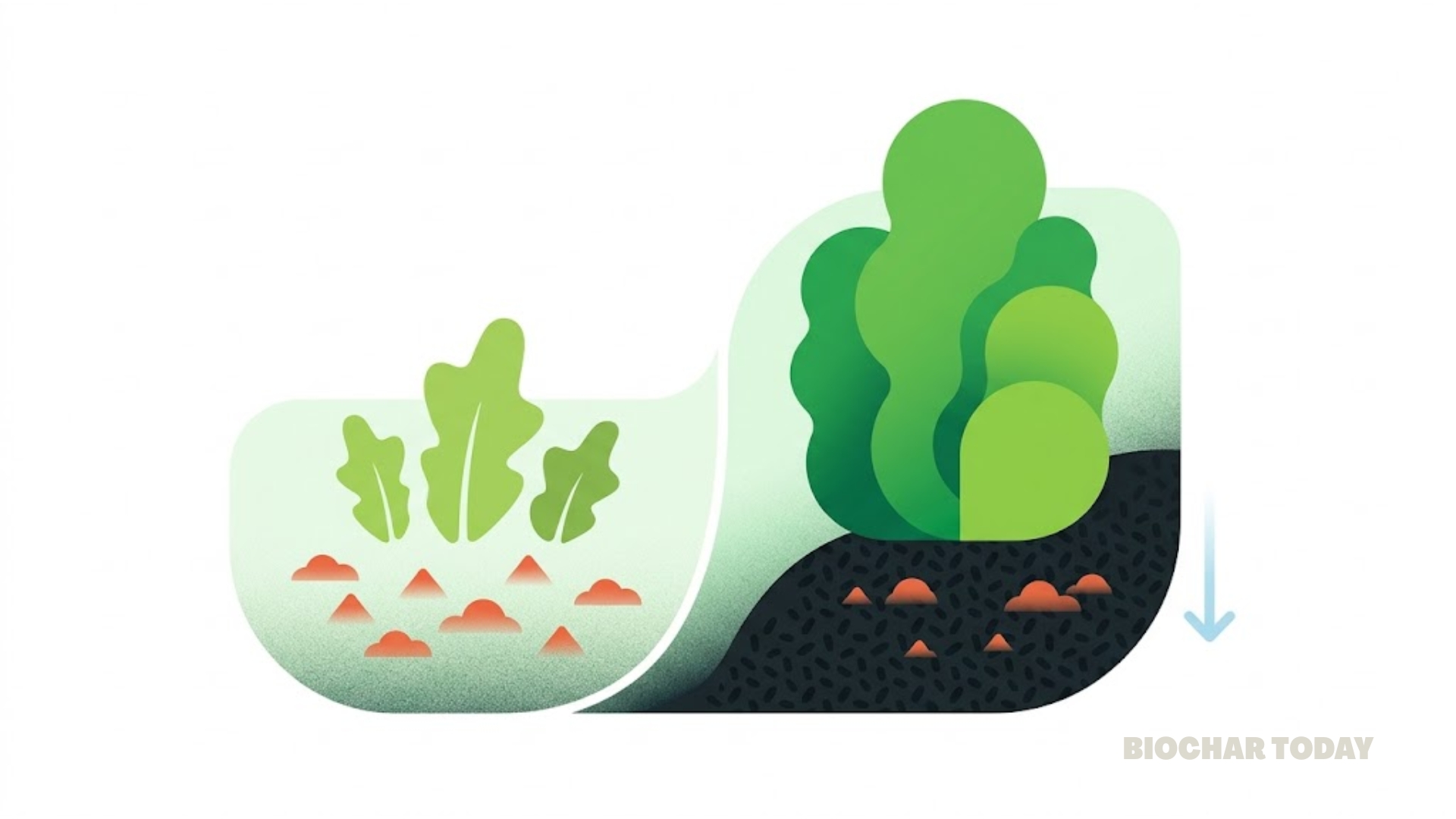 Biochar Application Increases Plant Biomass and Reduces Soil Nitrous Oxide Emissions by Sixteen Percent