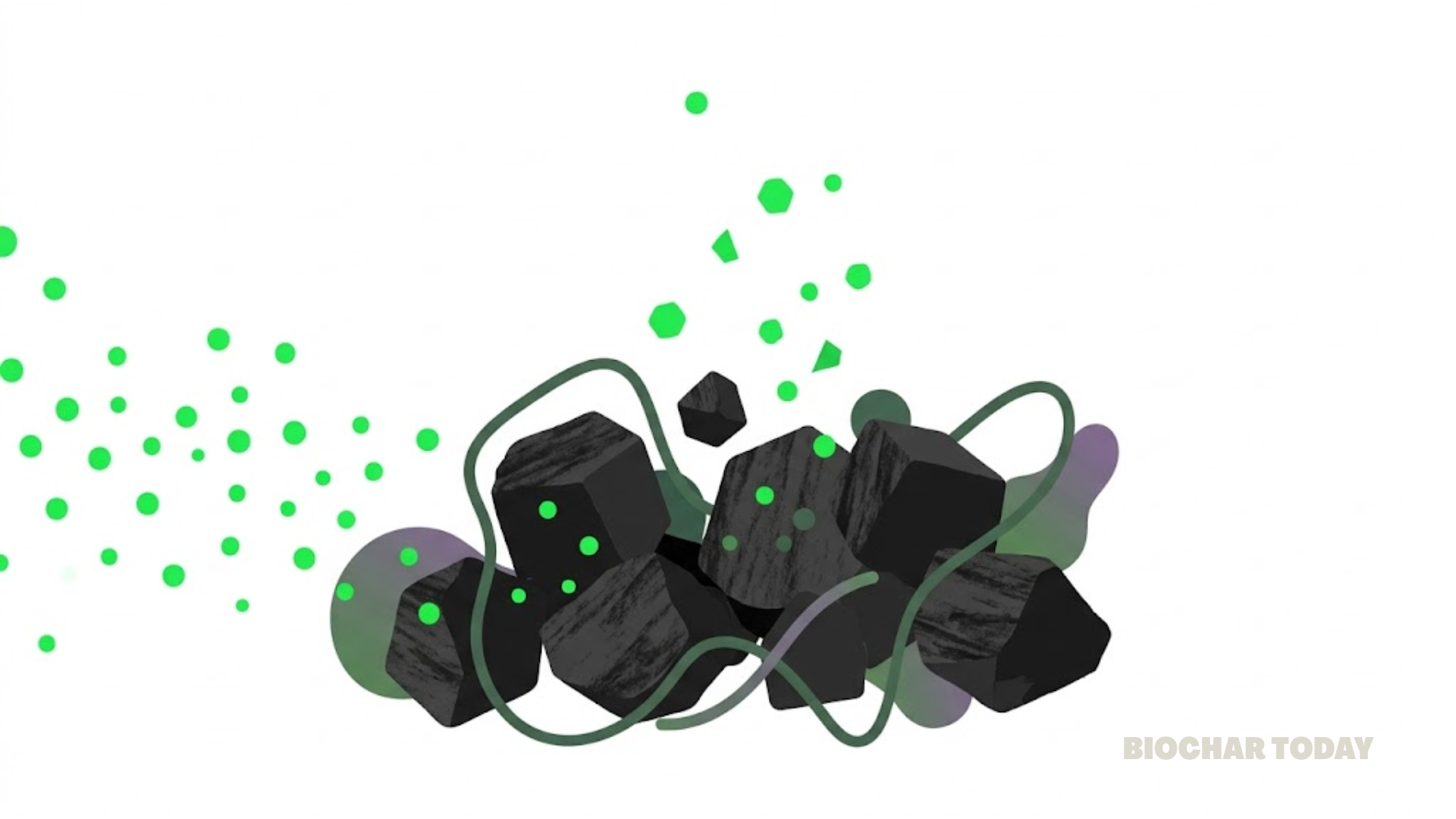 Jamun Leaf Biochar Achieves 243.90 Milligrams per Gram Adsorption Capacity for the Efficient Removal of Toxic Brilliant Green Dye