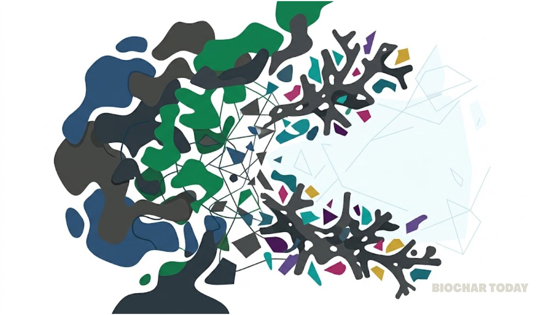 Low-Cost Algal Biochar Removes Over 95 Percent of Toxic Textile Dye