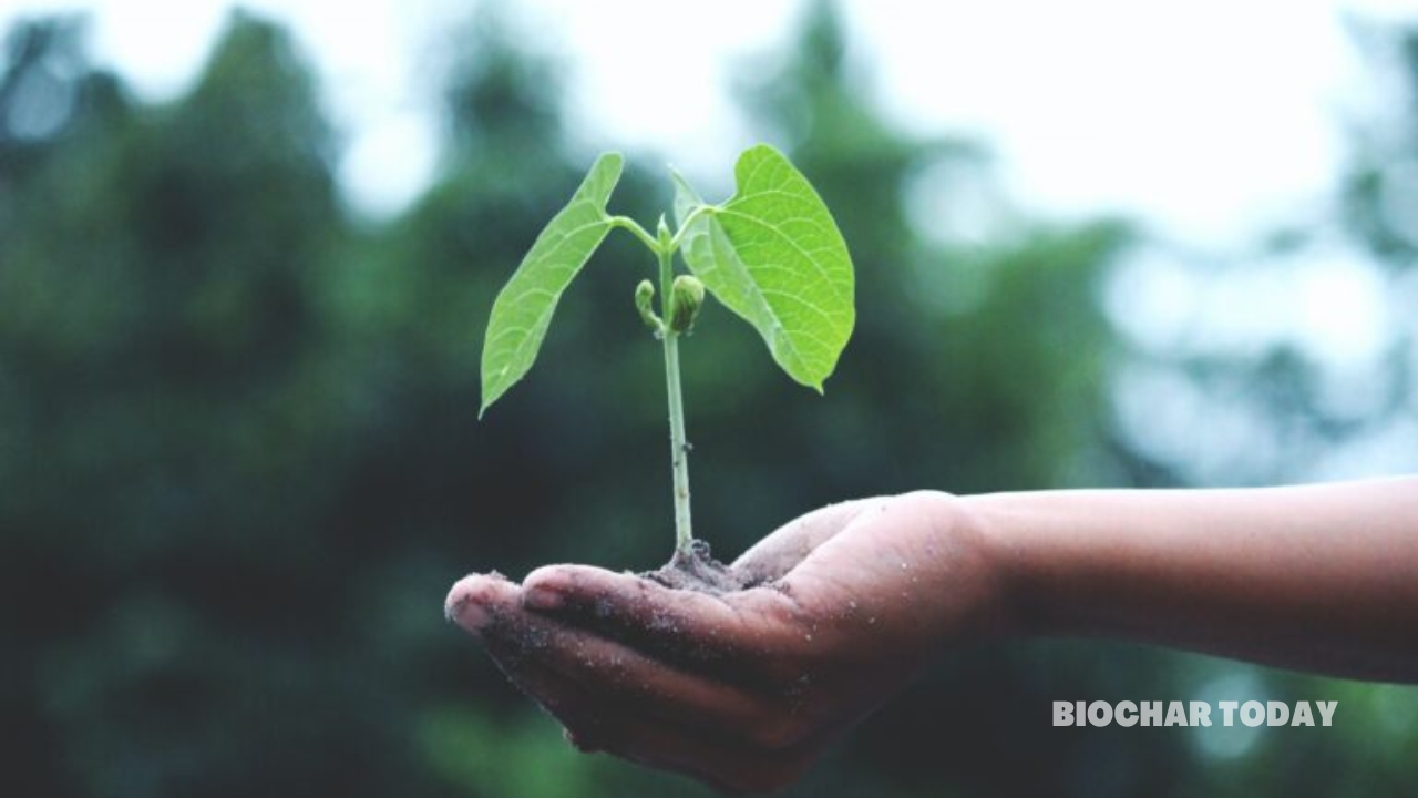 Carbo Culture and the Netherlands Enterprise Agency Partner to Scale Industrial Biochar Production