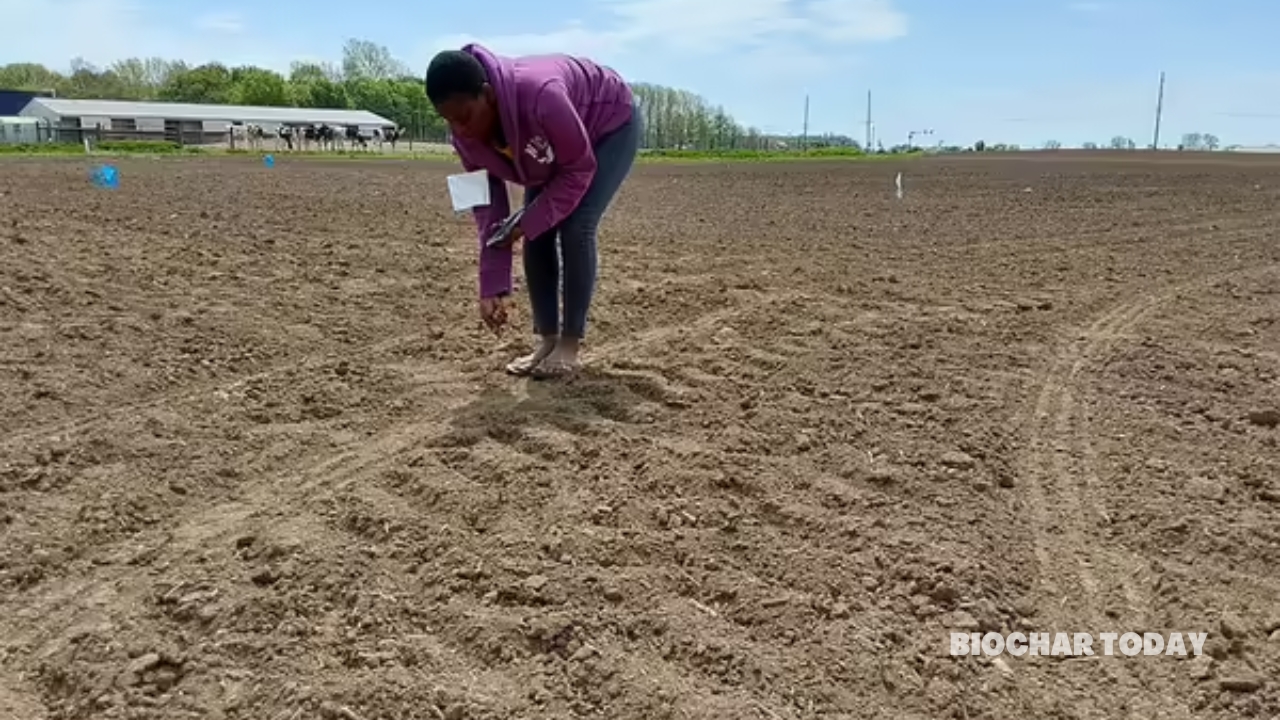 University of Illinois Researchers Evaluate Designer Biochar Pellets for Phosphorus Management in Agricultural Runoff
