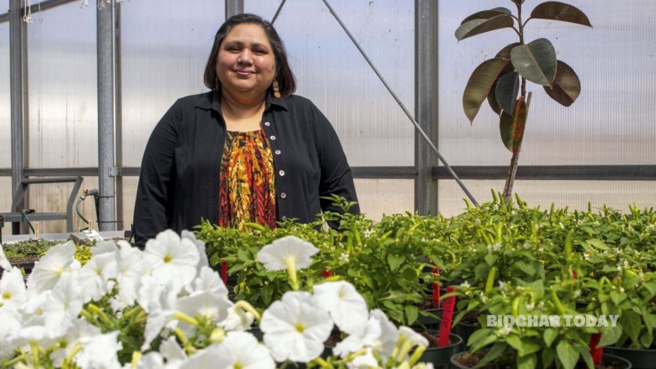 Assiniboine College and Industry Partners Secure Funding to Evaluate Cattail Biochar in Container Growing Systems