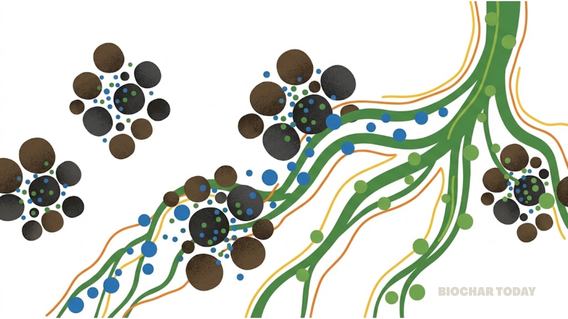 Sludge Biochar Immobilized Microbiome Increases Lead Root Absorption by 56.9% and Zinc Transfer by 30%