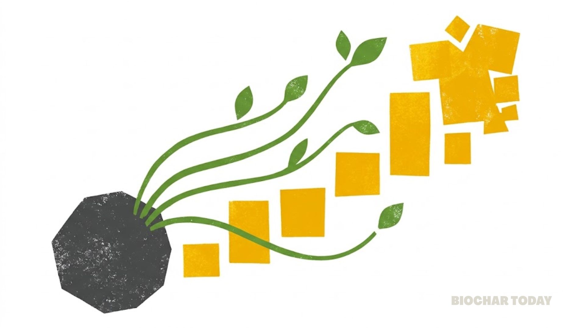 Rice Husk Biochar Seed Coating at Twenty Percent Concentration Increases Ethiopian Rice Yields by Seventy-Eight Percent