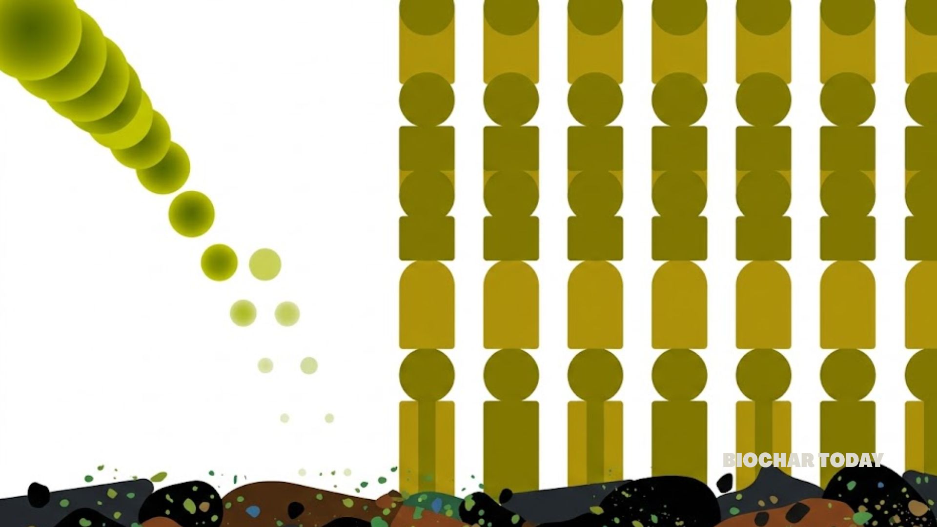 Ten-Year Study Shows Repeated Compost and Biochar Amendments Reduce Olive Fruit Oleuropein Concentration by Up to Twenty-Four Percent While Maintaining Stable Crop Yields