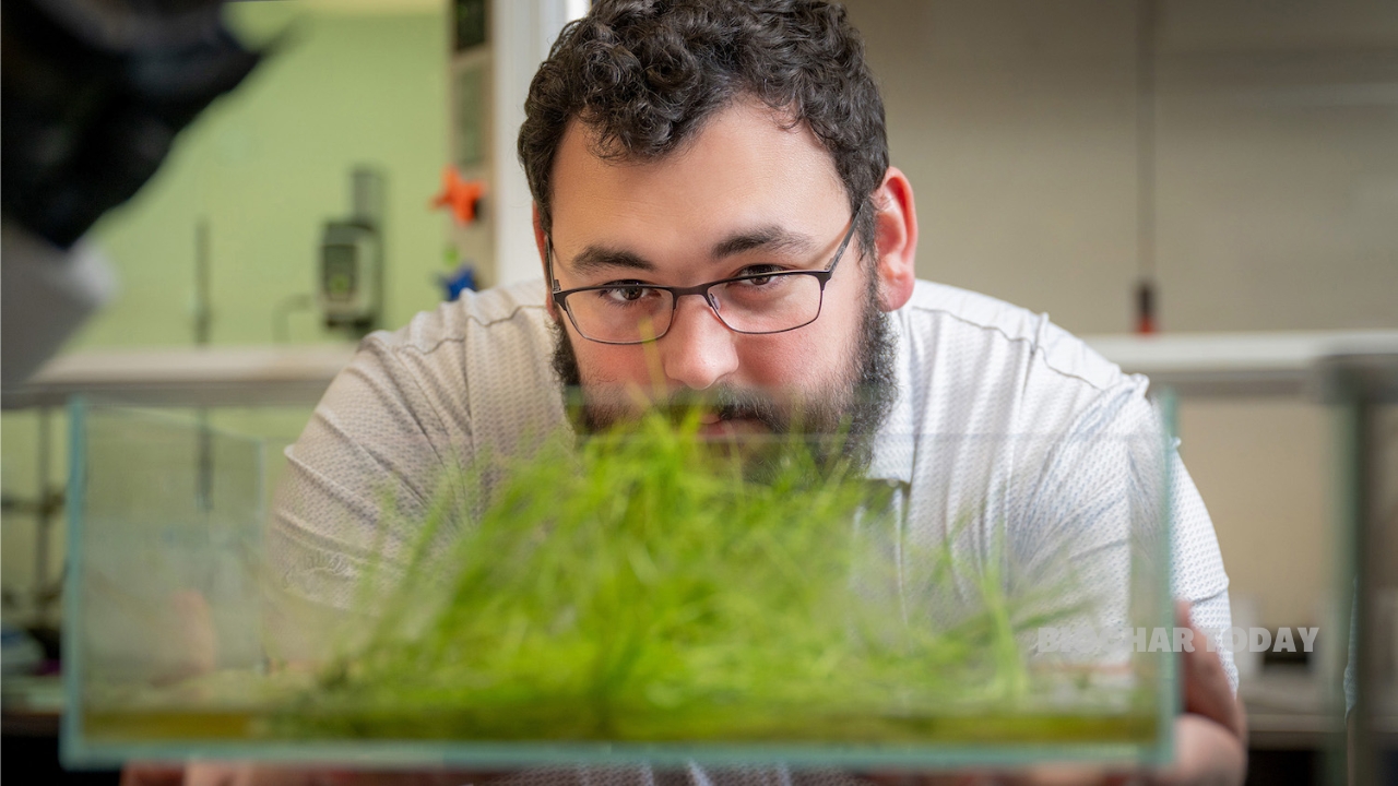 Ceretune and NC State University Develop Floating Bioscaffolds for Aquatic Nutrient Capture and Biochar Conversion