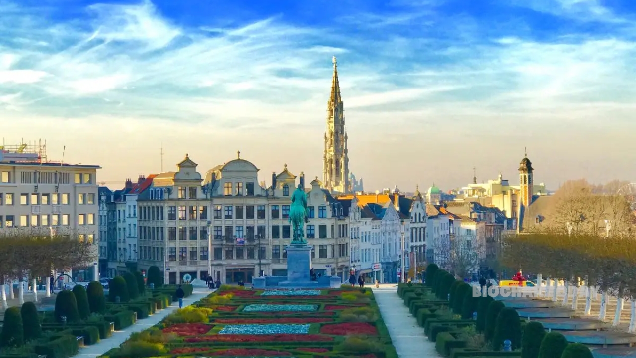 European Commission Limits EU CDR Procurement Strategy to Large-Scale Industrial BioCCS