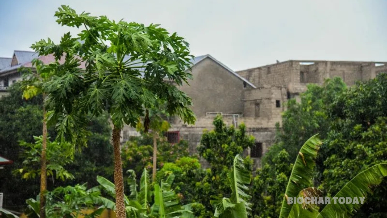 Government of the Democratic Republic of the Congo and Econetix Expand Article 6 Authorization to 2.75 Million Carbon Credits