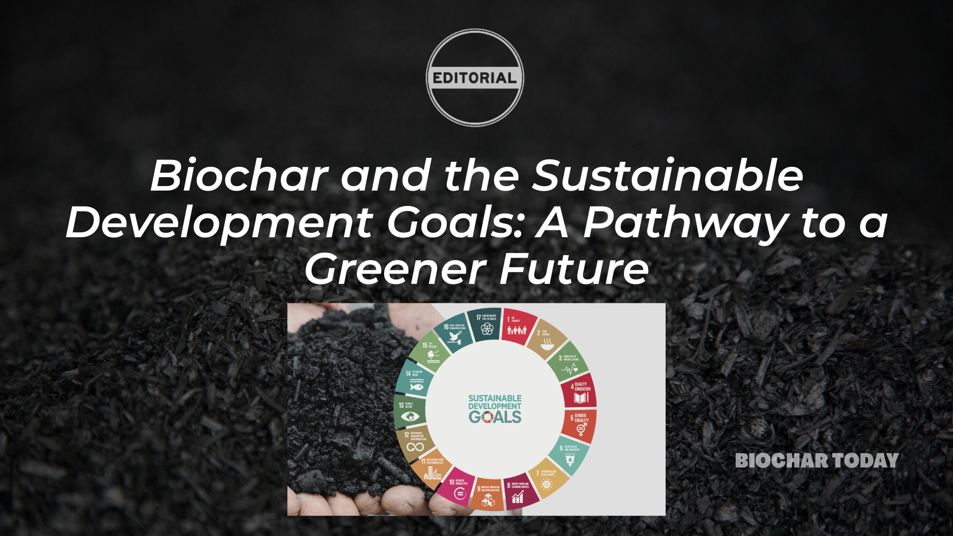 Biochar and the Sustainable Development Goals: A Pathway to a Greener Future