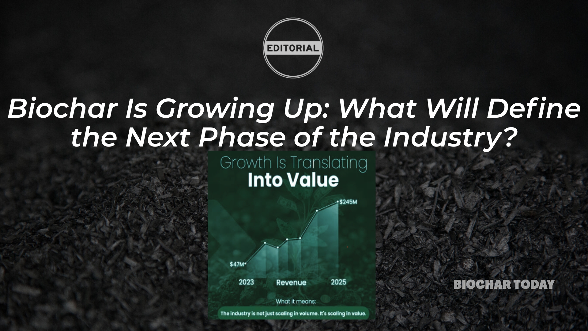 Biochar Is Growing Up: What Will Define the Next Phase of the Industry?