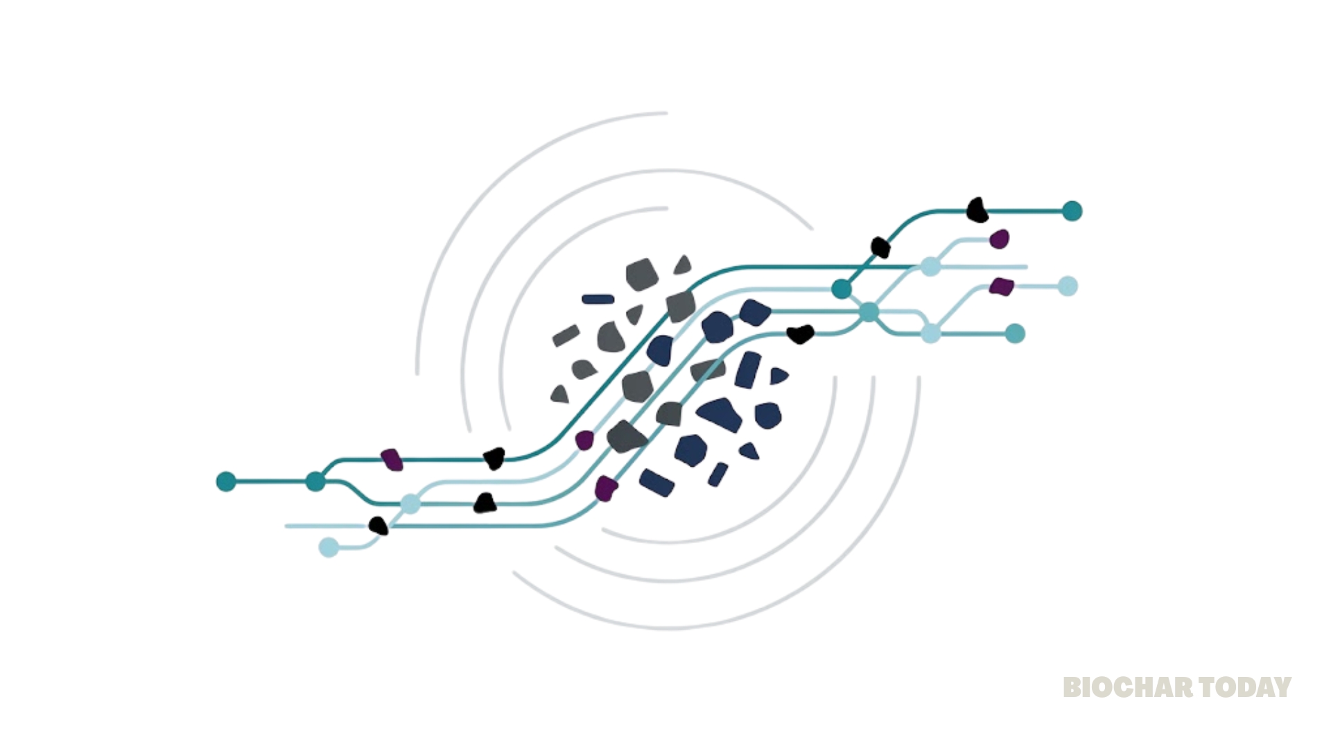 Machine Learning Optimization Enables High-Accuracy Biochar Preparation and Cadmium Removal Achieving Under Seventeen Percent Experimental Prediction Error