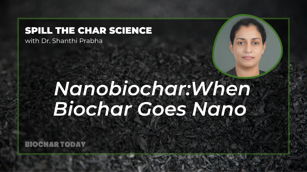 Nanobiochar:When Biochar Goes Nano