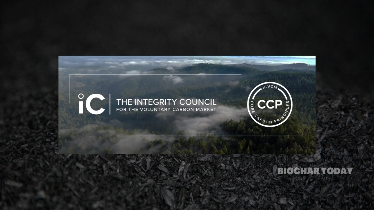 Assessing the Core Carbon Principles and Methodology Alignment in the Biochar Sector