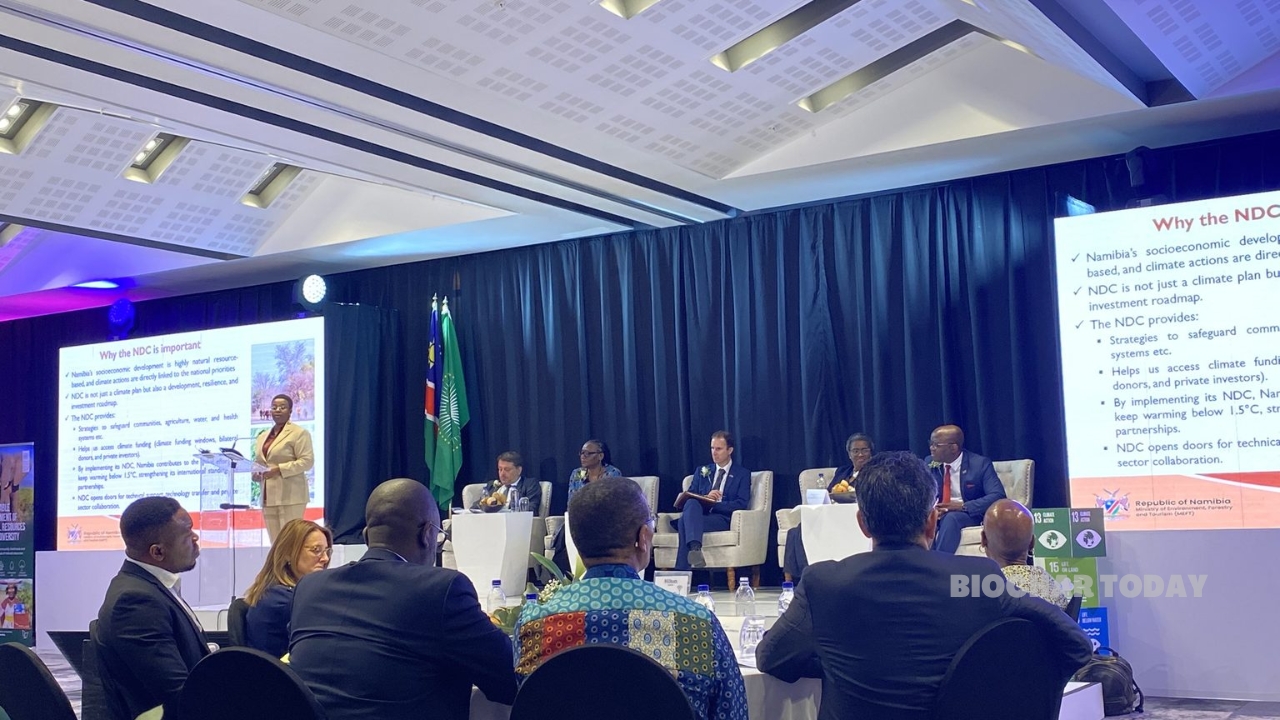 Ministry of Environment and The Namibian Government Advance National Biochar Deployment and Carbon Market Frameworks to Mitigate Climate Change