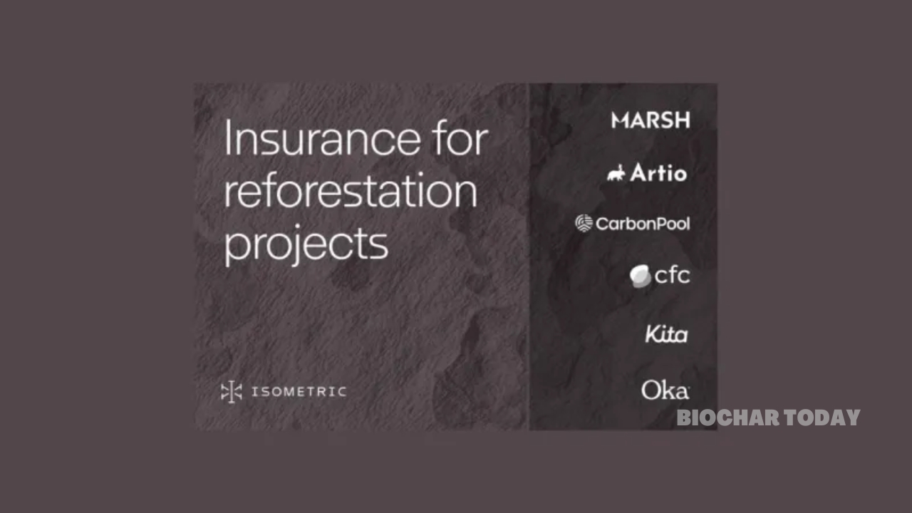 Isometric and Marsh Partner to Launch Carbon Reversal Insurance Framework for Reforestation Projects